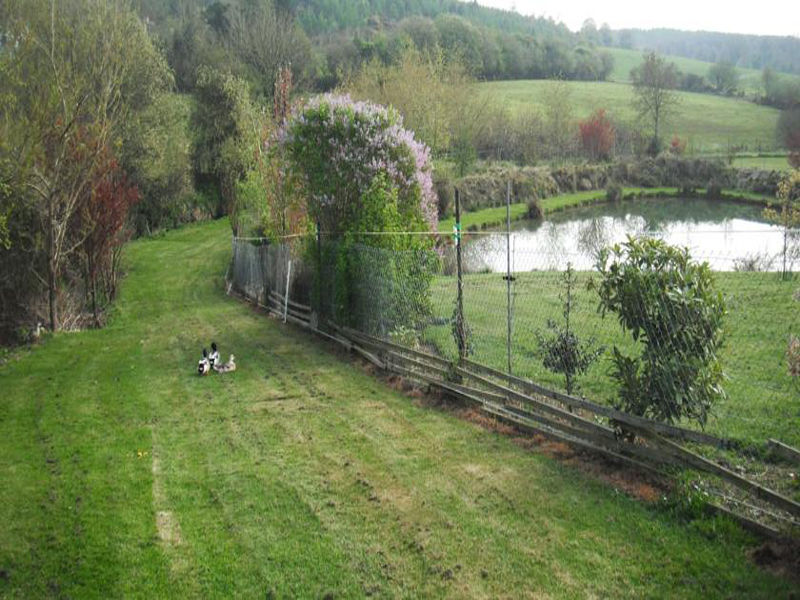 Dawn House B&B Kilmeaden Eksteriør billede